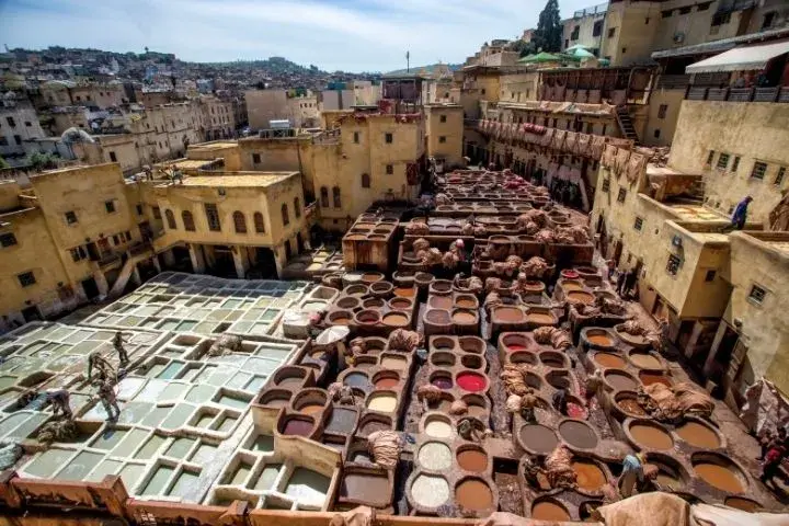 things to do in fes