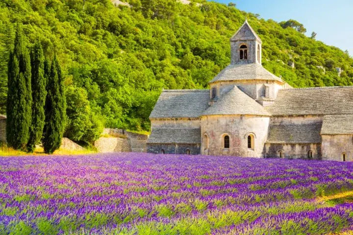 Guided Road Trips in Europe