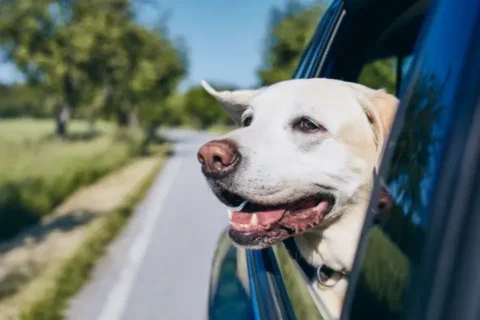 Balkan Car Rental Tips