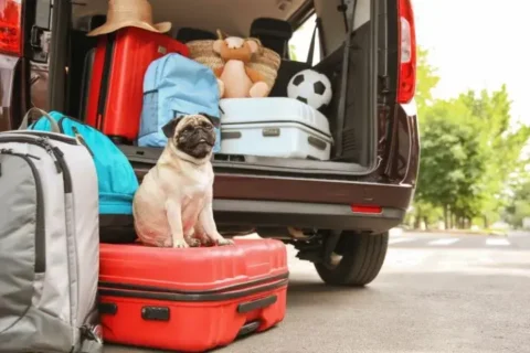 Balkan Road Trip Packing List