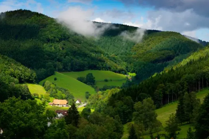 Germany Fairytale Route Driving