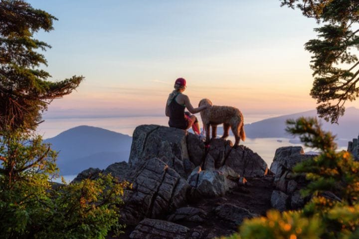 Traveling Europe By Car With Your Dog