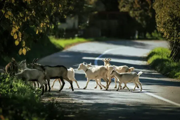 Balkan Road Conditions