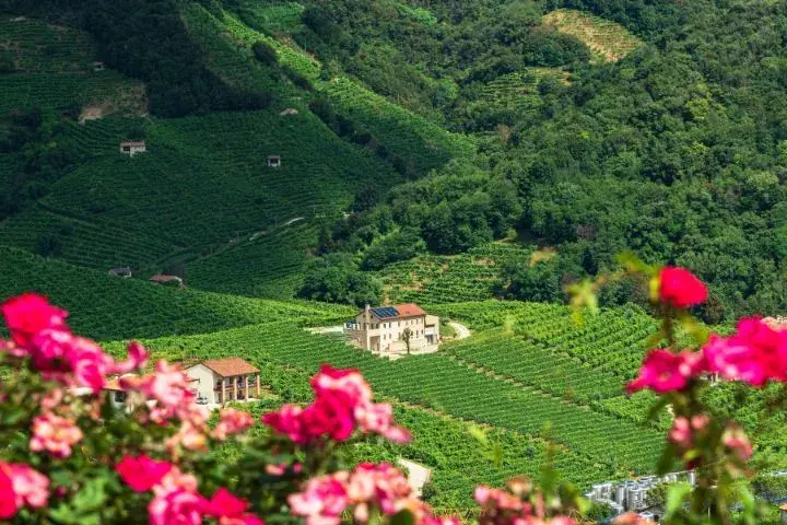 Romantic Italy Road Trip Itinerary , The Prosecco Hills of Valdobbiadene