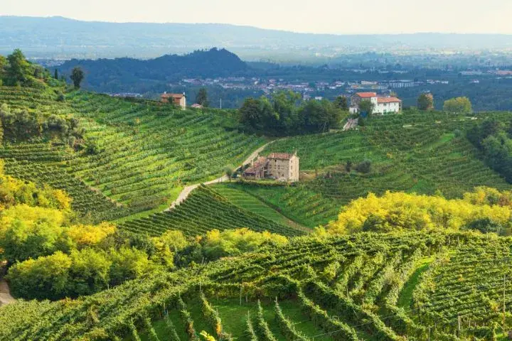 Northern Italy Road Trip Itinerary, The Prosecco Hills of Valdobbiadene