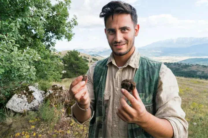 Drive Milan To Florence, Truffle Hunting