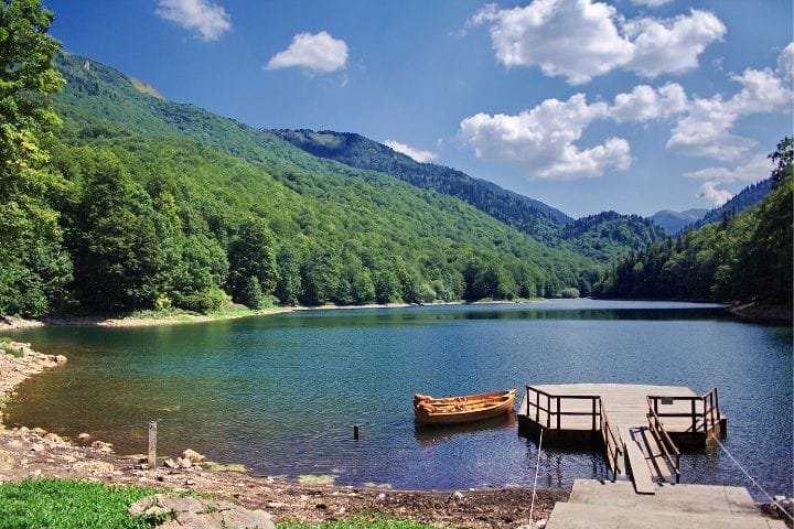 Montenegro Road Trip Itinerary, Biogradska Gora National Park