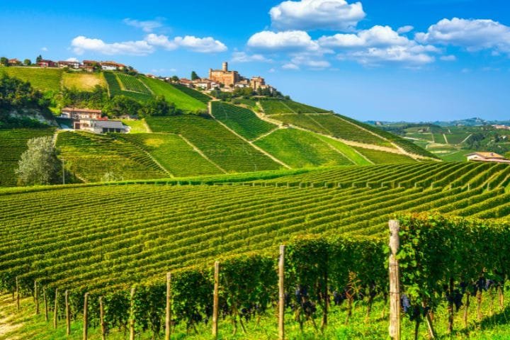 Hidden Scenic Routes in Piedmont, Castiglione Falletto Region Village, Langhe Vineyards