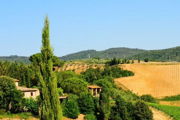 Drive Rome to Siena, Chianti