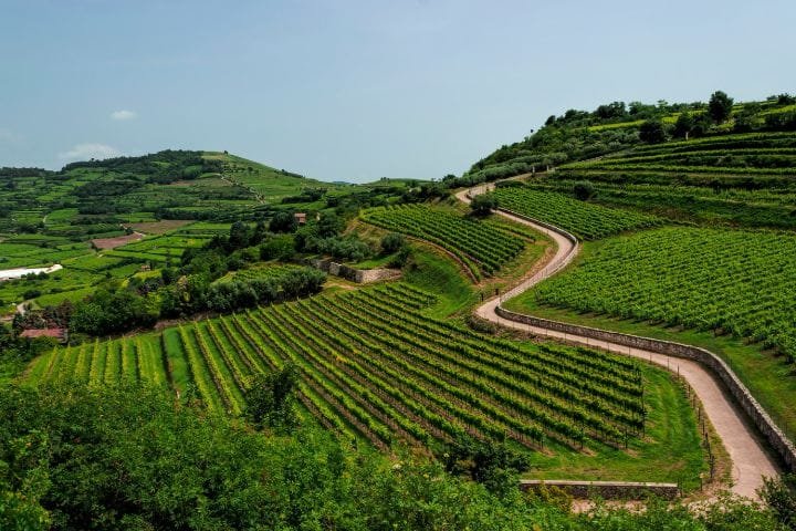 Best Scenic Drives in Northern Italy, Soave