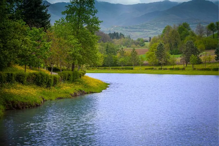 Tuscany Scenic Drives, Vicchio, Tuscany