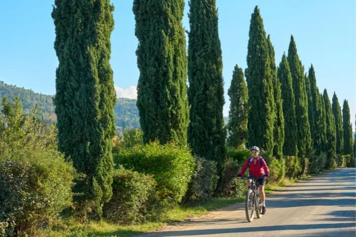How to Get Around Italy, Biking in Tuscany