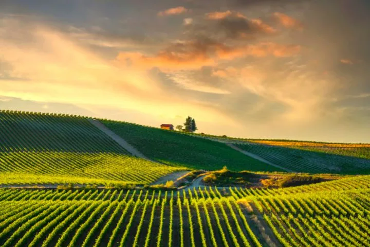 Best Scenic Drives in Italy, Castellina in Chianti, Tuscany