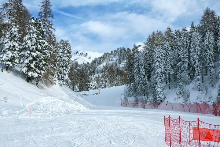 Winter Olympics Italy 2026 Travel Guide, Val di Fiemme