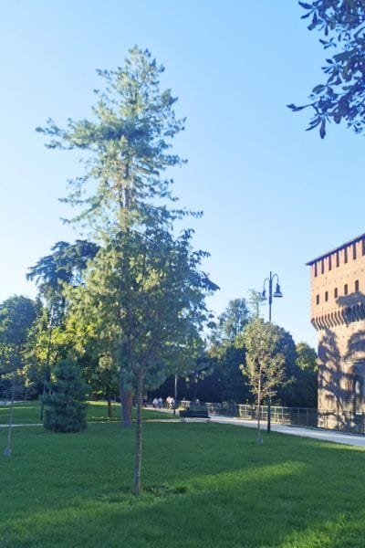 Free Things to Do in Milan, Parco Sempione