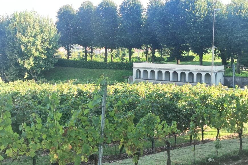 Milan itinerary,Franciacorta Wine Region