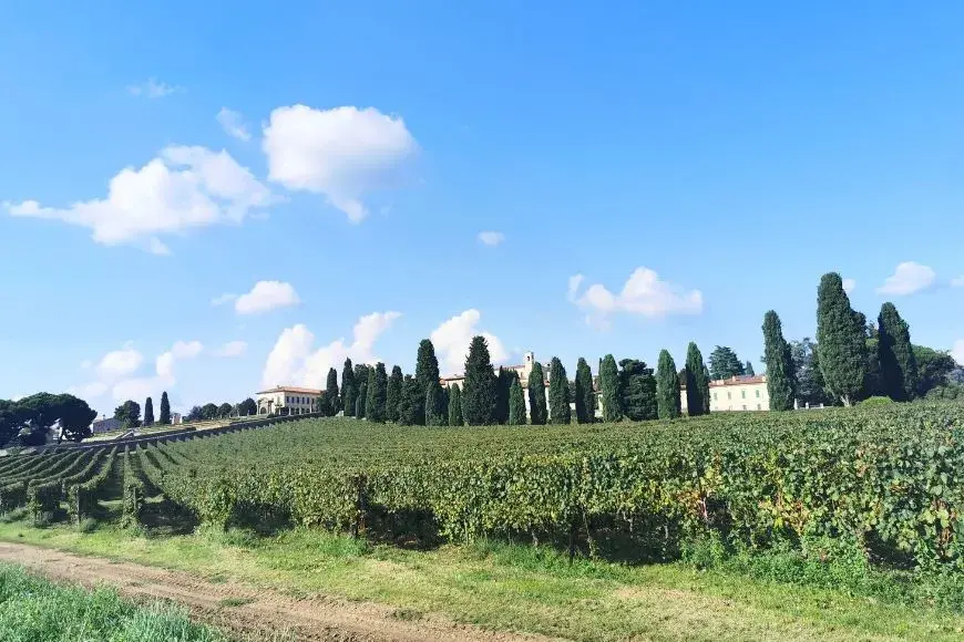 Milan Itinerary With Day Trips, Franciacorta