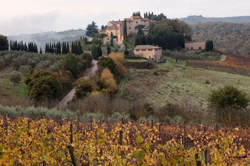 Best Attractions in Florence, Chianti vineyards and Tuscan hills