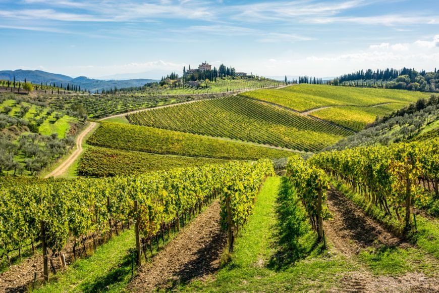 Day Trips From Florence, Chianti vineyards and rolling hills