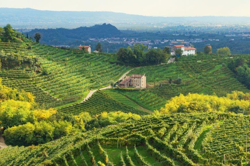 Things to Do in Venice, Prosecco Hills vineyard landscape