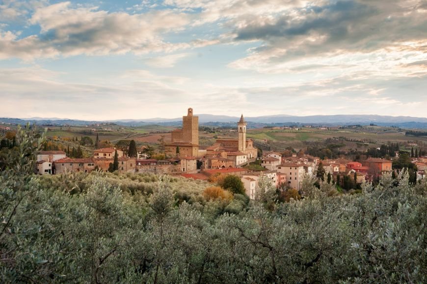 Day Trips From Florence, Vinci village with tower and olive groves surrounding it