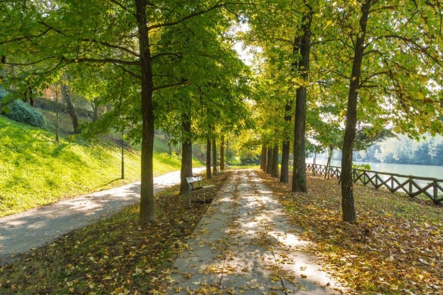 Things to do in Turin, Po River promenade with tree-lined path