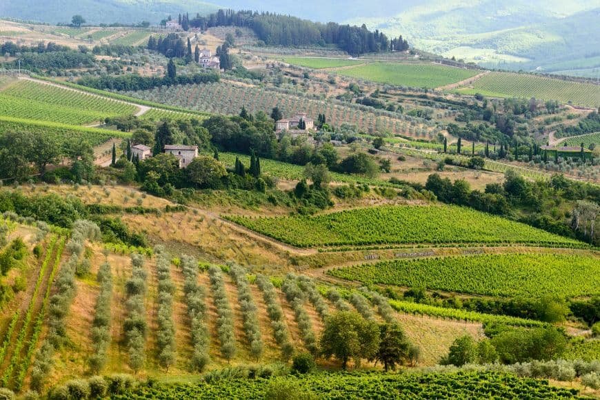 Tuscany Travel Guide, Chianti vineyards and rolling hills in Tuscany wine region