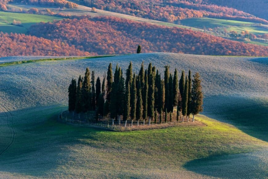 Tuscany Travel Guide, Cypress trees in Val D'orcia