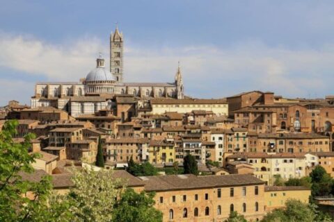 Siena Travel Guide