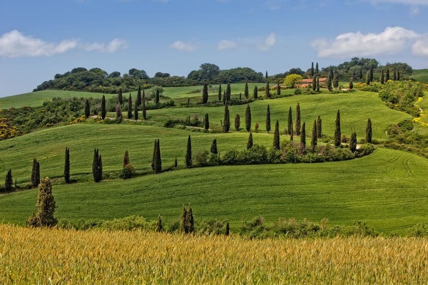 Tuscany Travel Guide, Val d'Orcia landscape with cypress-lined road and rolling hills