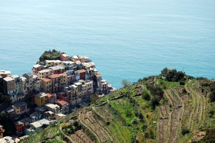 Things to Do in Cinque Terre, vineyard terraces above Manarola overlooking the Ligurian Sea