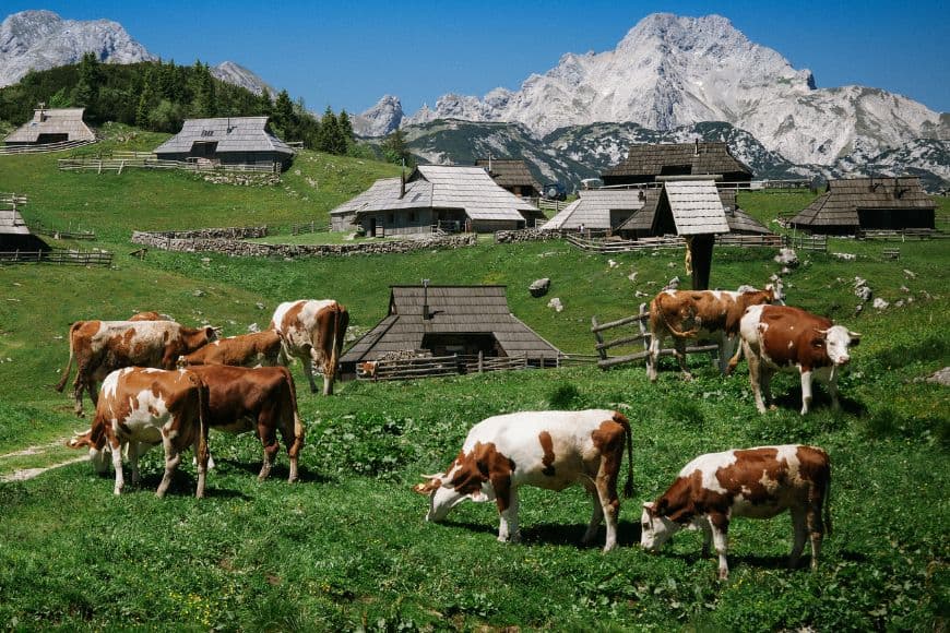 Slovenia Itinerary, Velika Planina, Slovenia