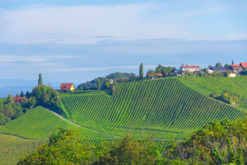 Slovenia Travel Guide, Vineyards and rolling hills in one of Slovenia's wine regions