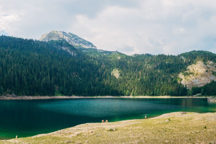 Montenegro Travel Guide, Black Lake surrounded by mountains in Durmitor National Park