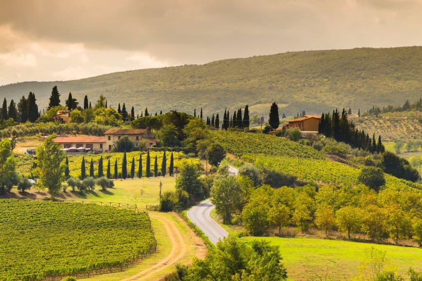 Do You Need A Car in Tuscany,Scenic countryside road passing through vineyards in Tuscany